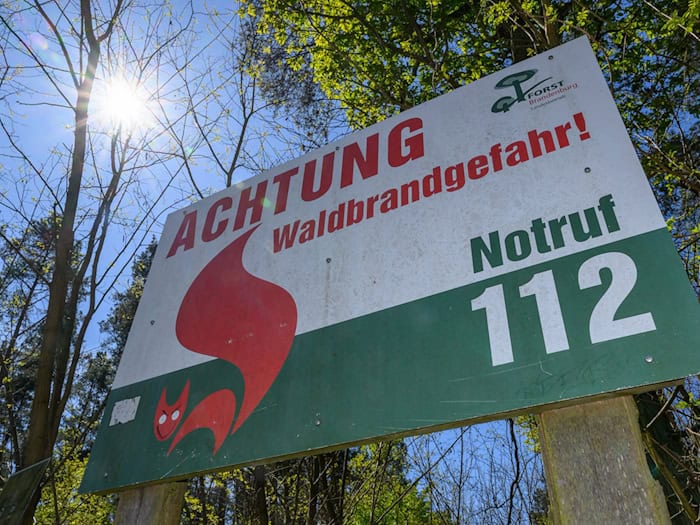 Die Gefahrenstufe für Waldbrände ist nach einem extrem trockenen Hitze-Wochenende wieder gesunken. (Symbolbild) / Foto: Patrick Pleul/dpa