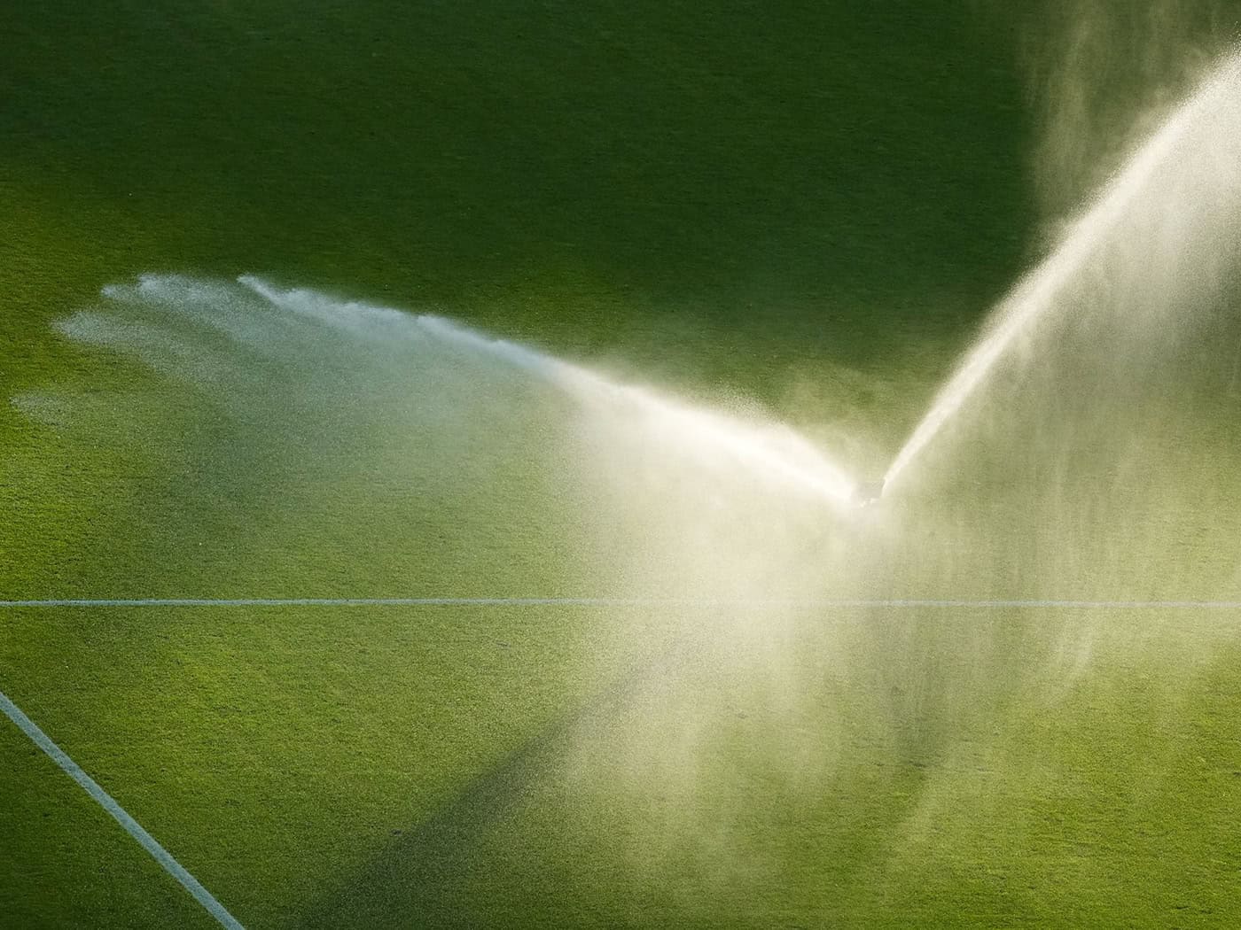 Bei Trockenheit und Niederwasser wird mancherorts das Rasensprengen eingeschränkt. (Symbolbild)  / Foto: Soeren Stache/dpa