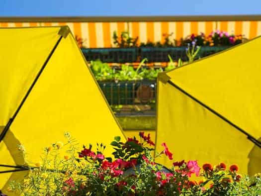 Bis zu 38 Grad in Berlin und Brandenburg - abends Gewitter