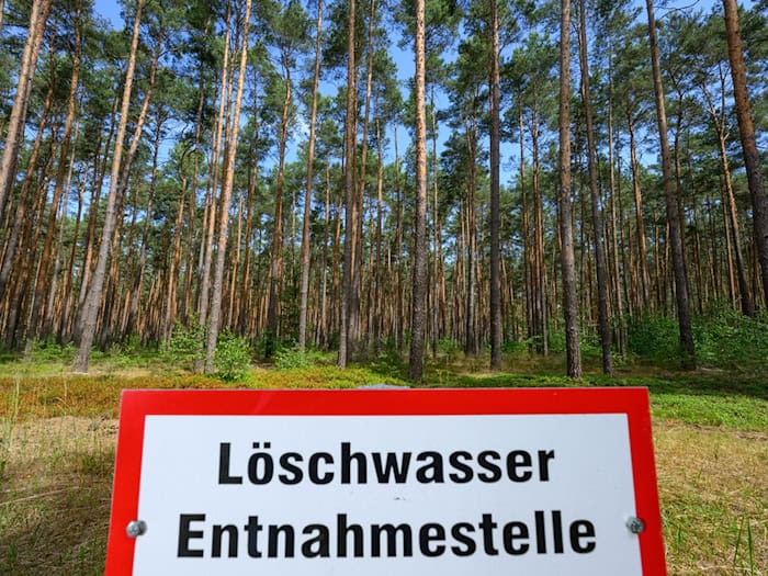 In einigen Regionen in Brandenburg ist die Gefahr vor Waldbränden hoch. (Archivbild) / Foto: Patrick Pleul/dpa