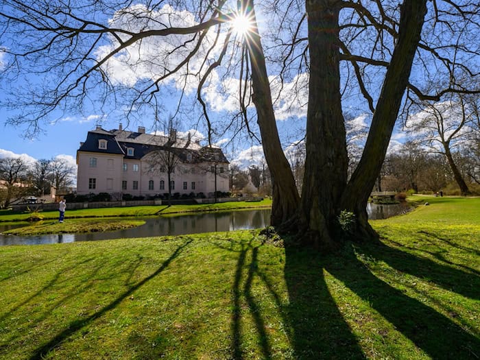 Aufgrund von Baumpflegearbeiten können einige Bereiche des Branitzer Innenparks vorerst nicht betreten werden. (Archivbild) / Foto: Patrick Pleul/dpa