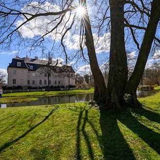 Aufgrund von Baumpflegearbeiten können einige Bereiche des Branitzer Innenparks vorerst nicht betreten werden. (Archivbild) / Foto: Patrick Pleul/dpa