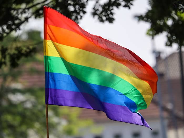 In Cottbus wird der CSD gefeiert. (Symbolfoto)  / Foto: Focke Strangmann/dpa