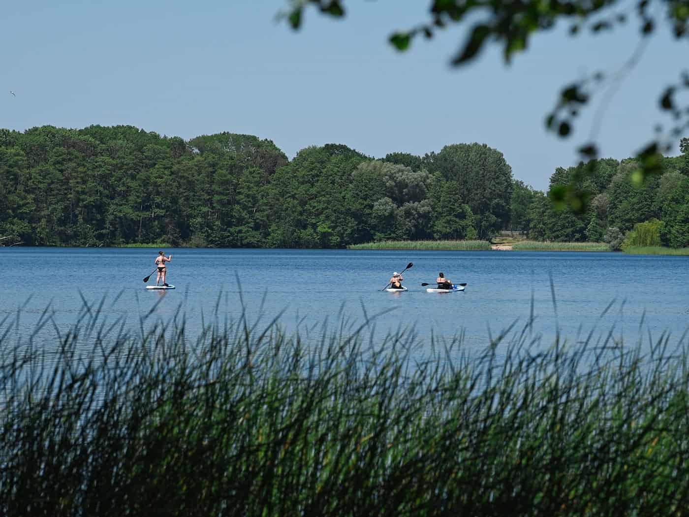 Alle Verunglückten waren Männer, so die DLRG Brandenburg. (Symbolbild) / Foto: Soeren Stache/dpa-Zentralbild/dpa