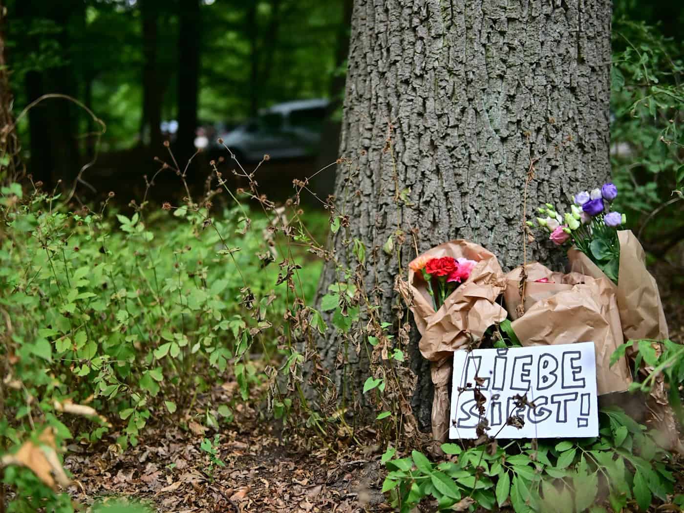 Ein Schild mit der Aufschrift "Liebe siegt!" liegt vor Blumen an einem Baum, nahe einem abgesperrten Bereich des Tiergartens, wo ein Fahrzeug einen Baum gerammt hatte.  / Foto: Sebastian Gollnow/dpa