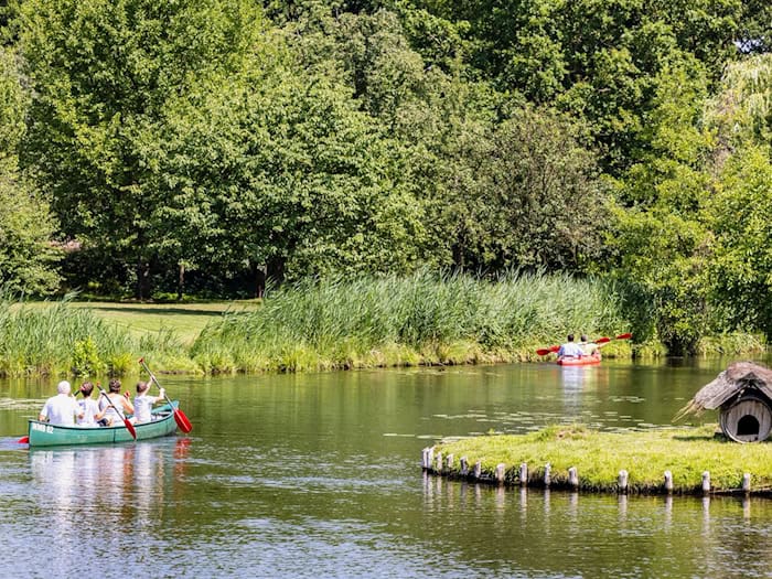 Eine erste Wasserroute ist im Unterspreewald nach Sperrungen wieder frei für Paddler. Aber Teile der Fließe sind weiterhin nicht befahrbar - eine Folge der Ausbreitung des Eichenprozessionsspinners. (Archivfoto)  / Foto: Frank Hammerschmidt/dpa