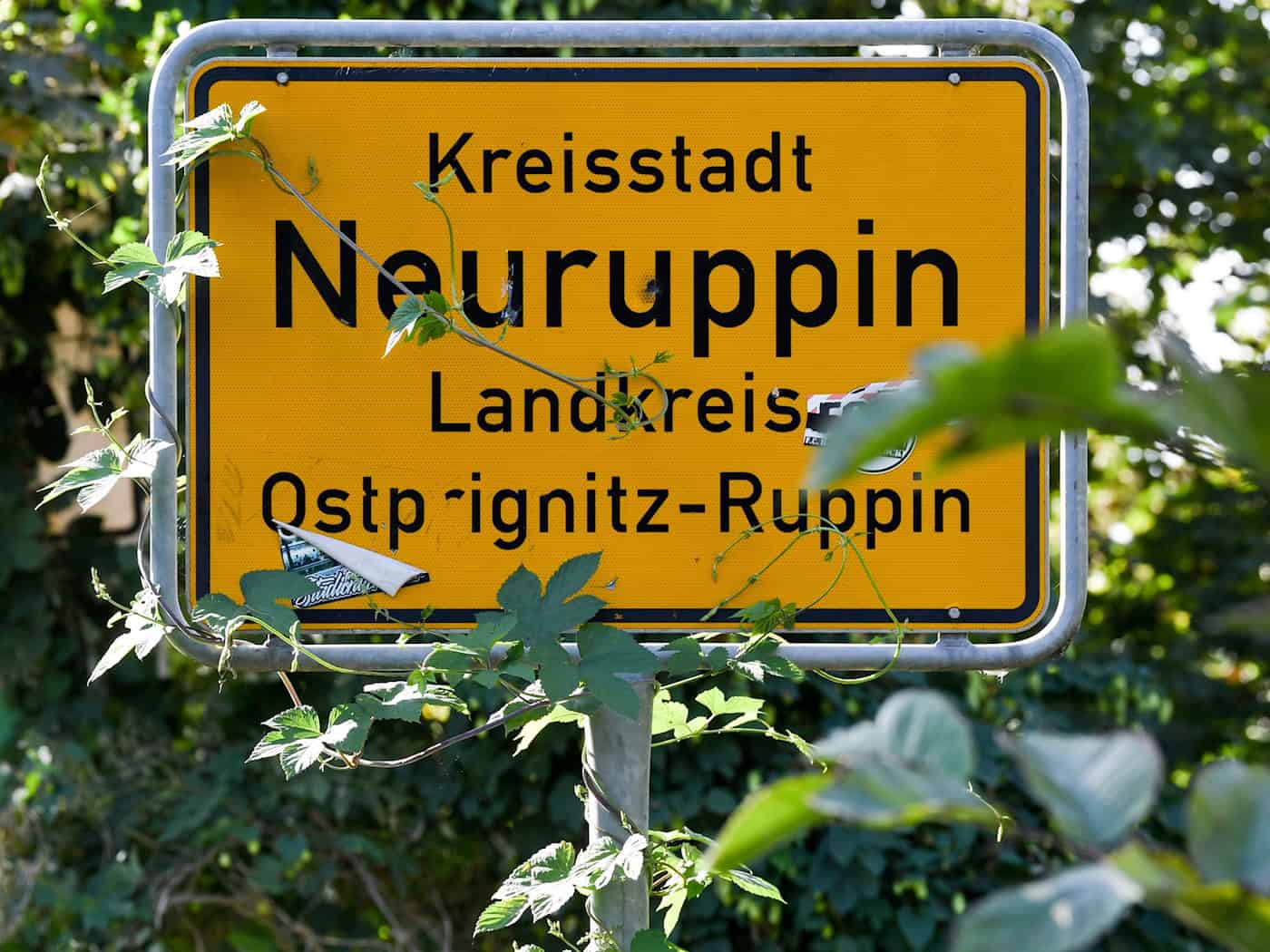 Feldbrand in Neuruppin: 20 Meter vor Wohngebiet gestoppt