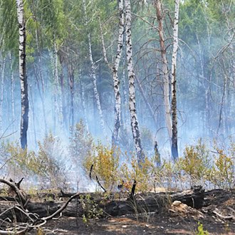 Feuer bei Jüterbog ist noch nicht komplett aus