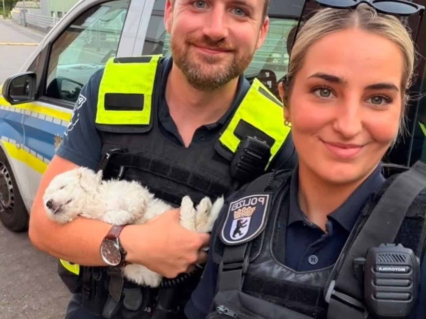 Berliner Polizisten haben am Kottbusser Tor einen jungen Hund in Sicherheit gebracht, der zu früh von seiner Mutter getrennt worden ist. / Foto: Handout / Berlin/Polizei Berlin/dpa