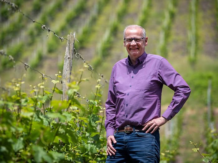 Zwischen den Riesling-Reben: Abseits des Fernsehstudios ist Günther Jauch gerne auf seinem Weingut an der Saar. (Archivbild) / Foto: Harald Tittel/dpa