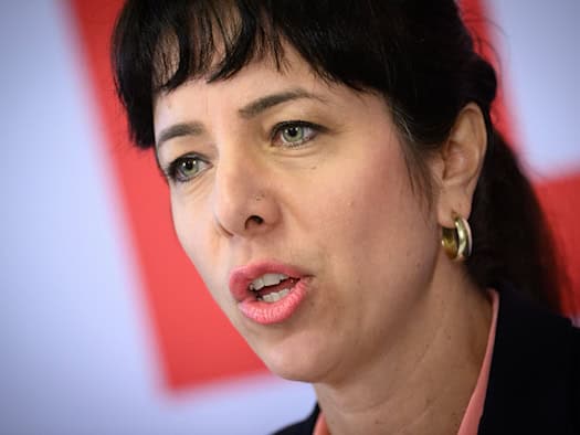 Linke-Politikerin Eralp gegen eilige Gesetzesverschärfungen