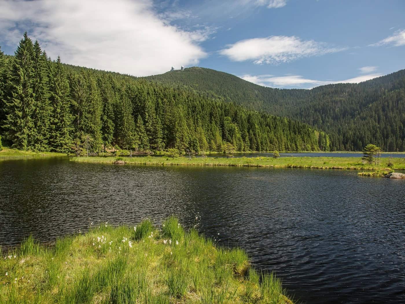 Der Bayerische Wald erzielt solide Werte im Wandern- und Urlaubssegment und spricht ein naturverbundenes Publikum an. / Foto: Th G auf pixabay.com