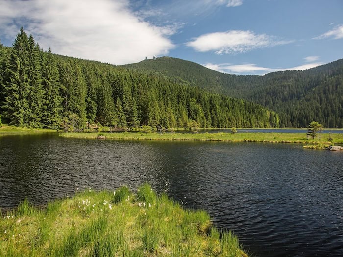 Der Bayerische Wald erzielt solide Werte im Wandern- und Urlaubssegment und spricht ein naturverbundenes Publikum an. / Foto: Th G auf pixabay.com