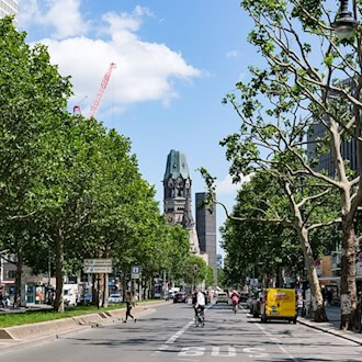 Bis 2040 muss sich laut Gesetz die Zahl der Bäume in Berlin mehr als verdoppeln. (Archivbild) / Foto: Jens Kalaene/dpa-Zentralbild/dpa