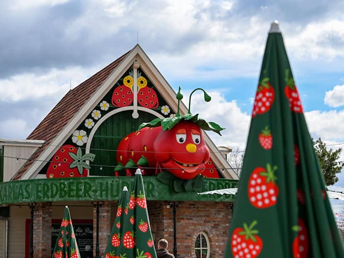 Der neue Freizeitpark entsteht neben dem Karls Erlebnis-Dorf Elstal. (Archivbild) / Foto: Jens Kalaene/dpa