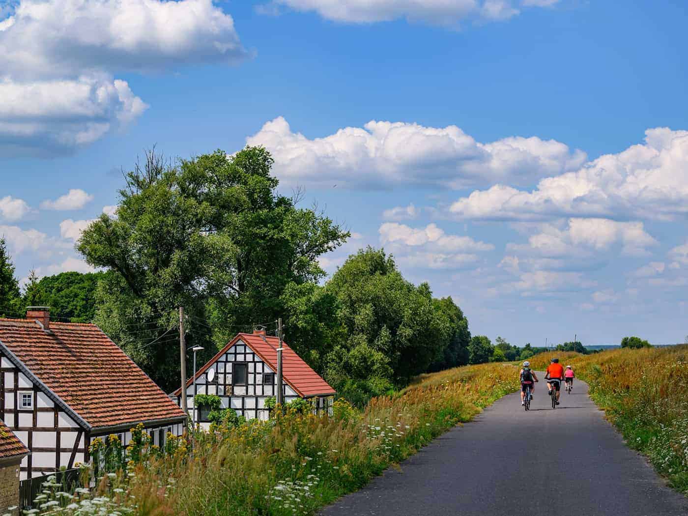 Das Radeln auf dem Oderdeich macht vor allem mit Rückenwind Spaß. (Archivbild) / Foto: Patrick Pleul/dpa