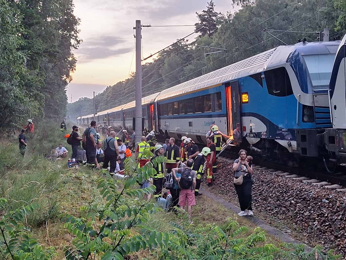 Der Zug verlor seinen Fahrstrom, weil ein Baum auf die Oberleitung gefallen war. (Handoutbild) / Foto: -/Landkreis Prignitz Feuerwehr/dpa