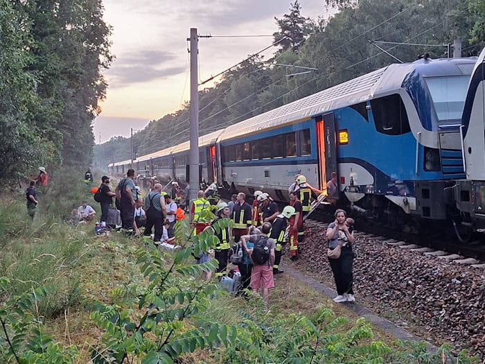 Der Zug verlor seinen Fahrstrom, weil ein Baum auf die Oberleitung gefallen war. (Handoutbild) / Foto: -/Landkreis Prignitz Feuerwehr/dpa