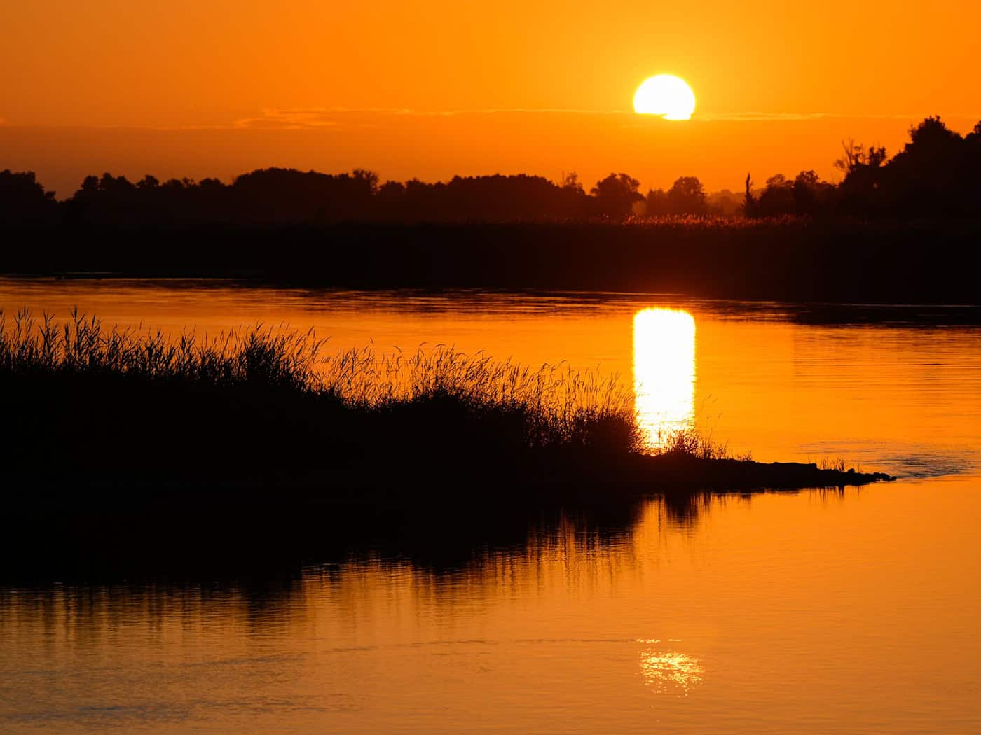 Sonniges und trockenes Sommerwetter prägt den Wochenstart in Berlin und Brandenburg. Gleichzeitig bleibt die Waldbrandgefahr in weiten Teilen Brandenburgs hoch. / Foto: Patrick Pleul/dpa