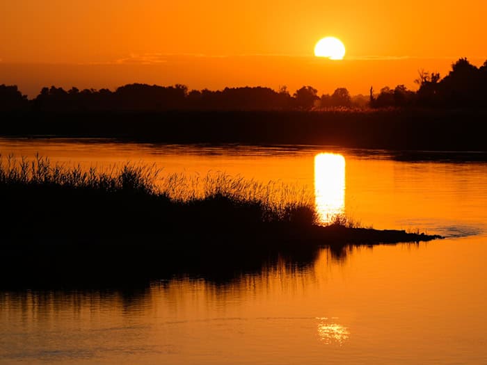 Sonniges und trockenes Sommerwetter prägt den Wochenstart in Berlin und Brandenburg. Gleichzeitig bleibt die Waldbrandgefahr in weiten Teilen Brandenburgs hoch. / Foto: Patrick Pleul/dpa