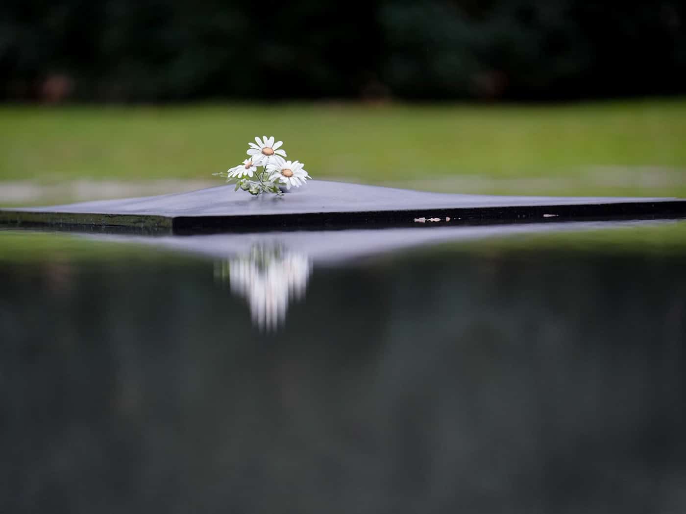Versammlungsfreiheit rund um Denkmal für ermordete Sinti und Roma in Berlin-Mitte eingeschränkt