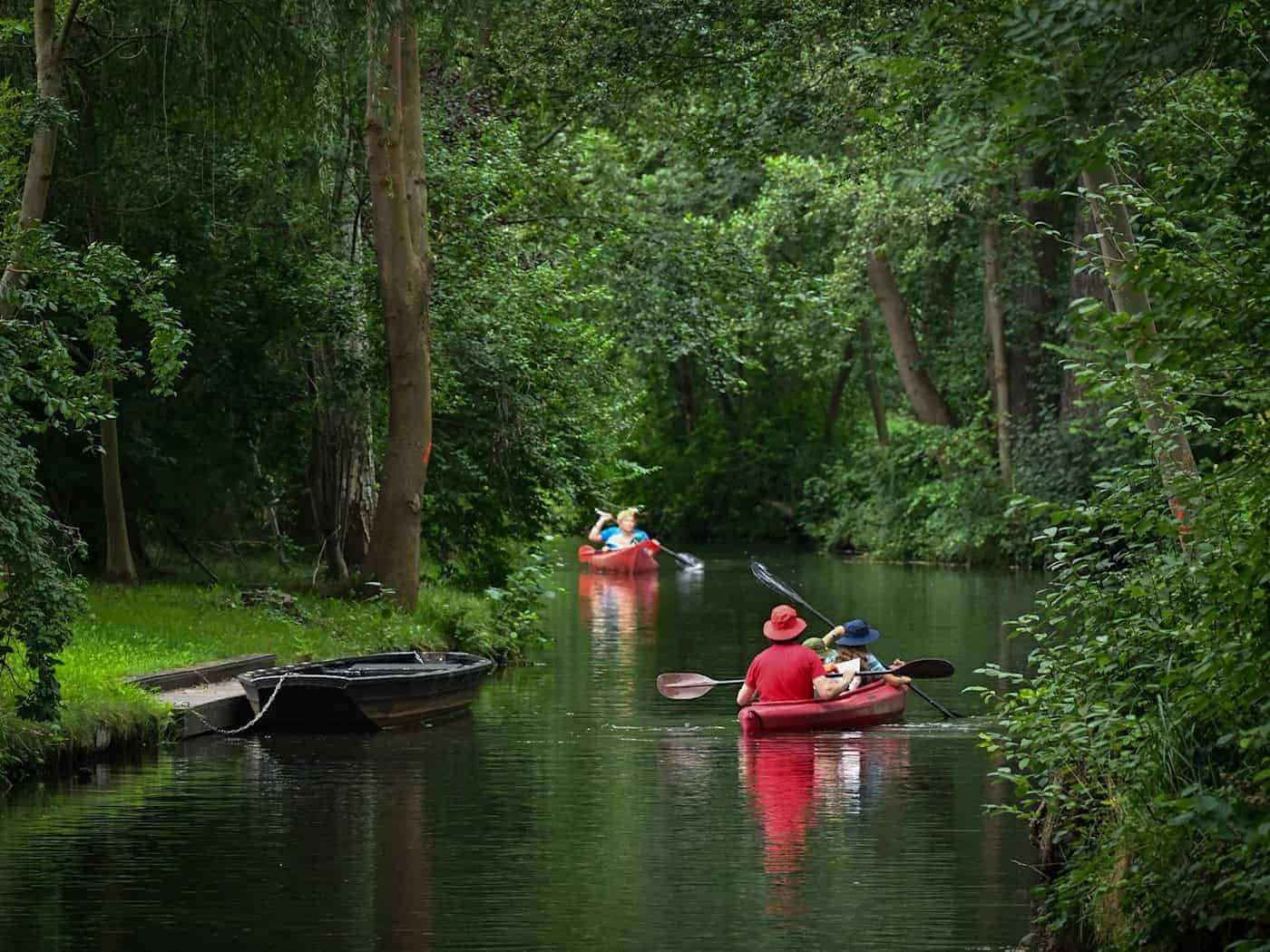 Der Spreewald ist bei Kajak-Fahrern sehr beliebt. (Archivbild) / Foto: Patrick Pleul/dpa/ZB