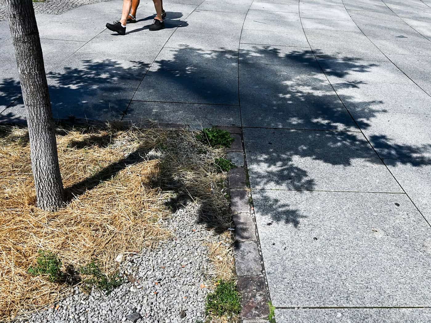 Ungewöhnlich warmer Juli auch in Berlin und Brandenburg