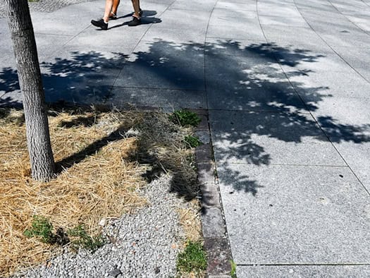 Ungewöhnlich warmer Juli auch in Berlin und Brandenburg