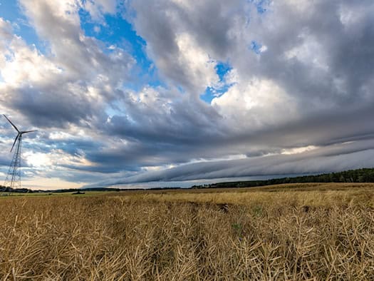 Wolkig und mäßig warm in Berlin und Brandenburg – Waldbrandgefahr steigt am Wochenende