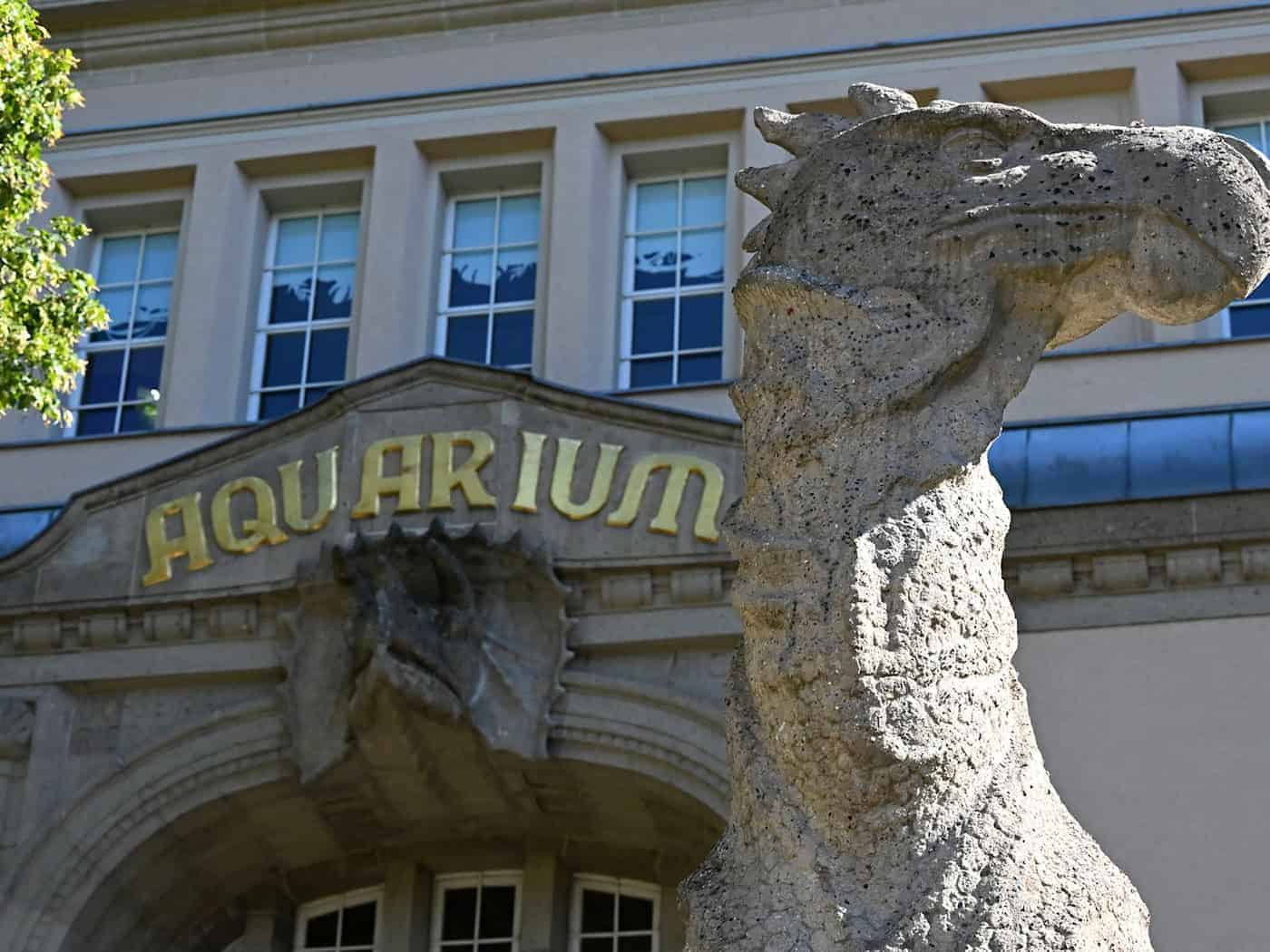 Berliner Aquarium in Mitte nach dreijähriger Modernisierung zum 113. Geburtstag wieder geöffnet