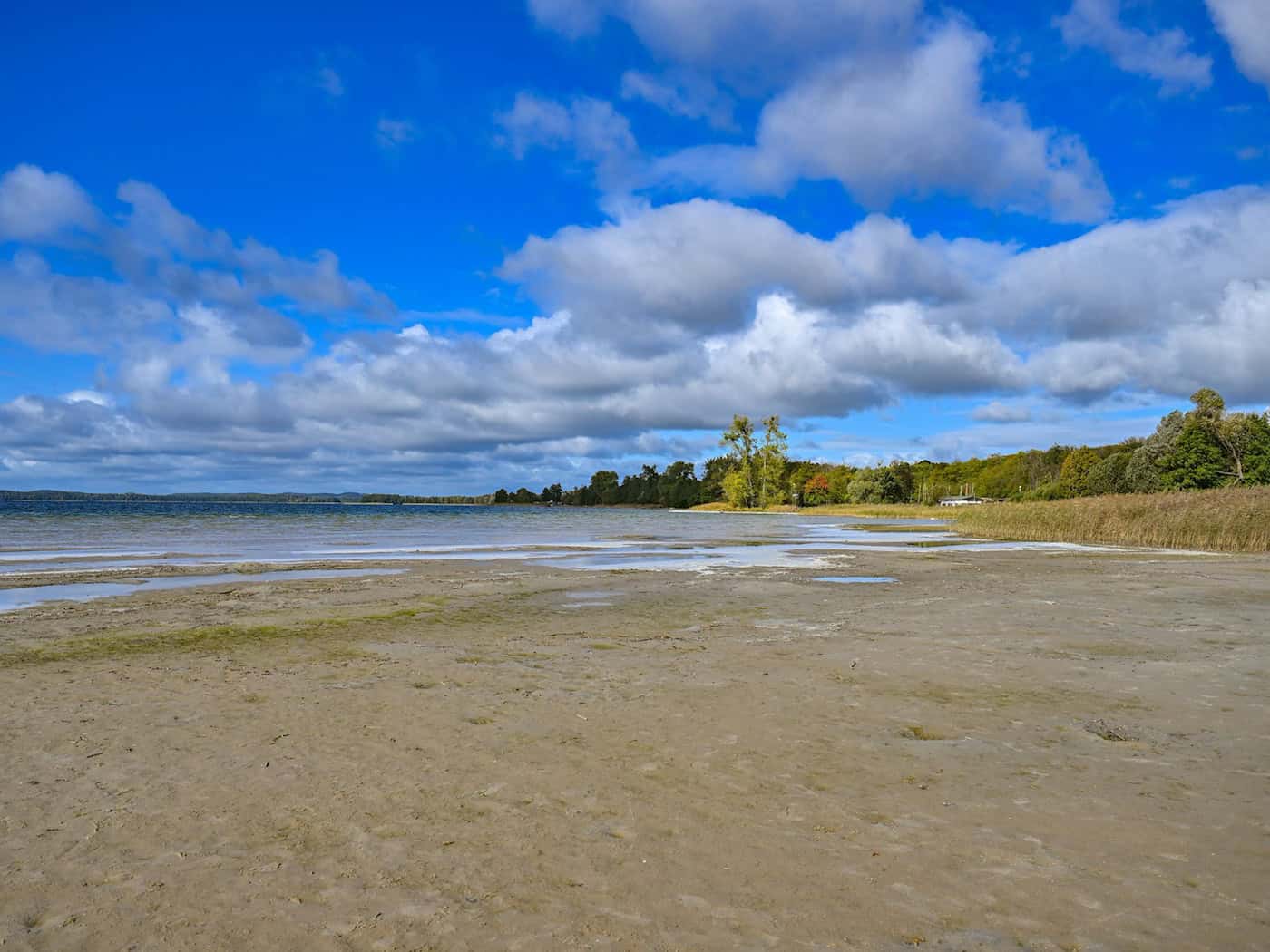 150 Meter bis zum Wasser: Parsteiner See zeigt Wasserkrise