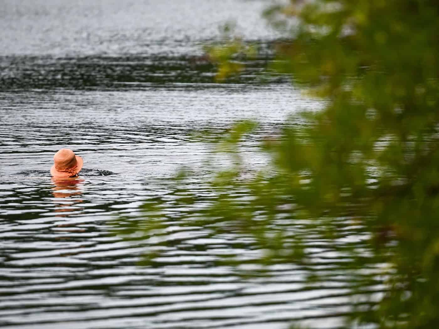 Alle Berliner Badestellen laut Lageso zum Baden geeignet – Zerkarien-Risiko steigt bei >20 °C
