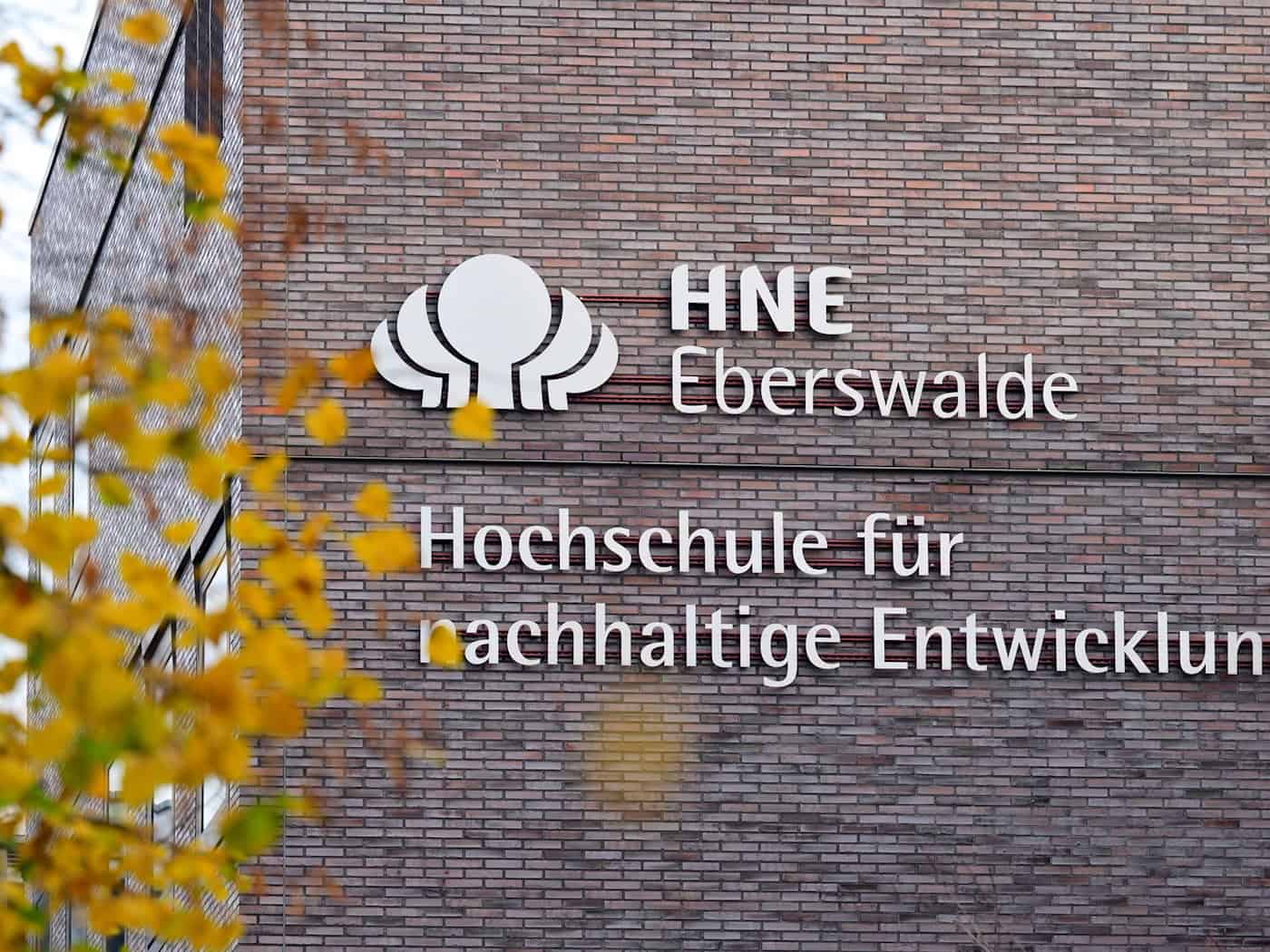 Brandenburg erlaubt Promotionen an Fachhochschulen – Promotionskolleg in Eberswalde