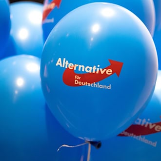 Brandenburgs Regierung verbietet AfD-Werbung an Schulen