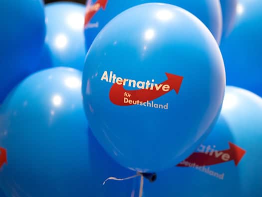 Brandenburgs Regierung verbietet AfD-Werbung an Schulen