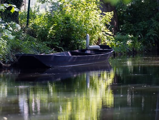 Dahme-Spreewald und Cottbus: Vorübergehendes Verbot der Wasserentnahme aus Seen und Flüssen