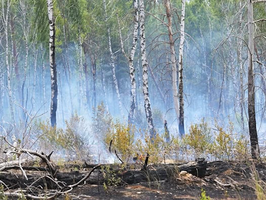 Dank des Regens: Brand in Jüterbog beendet