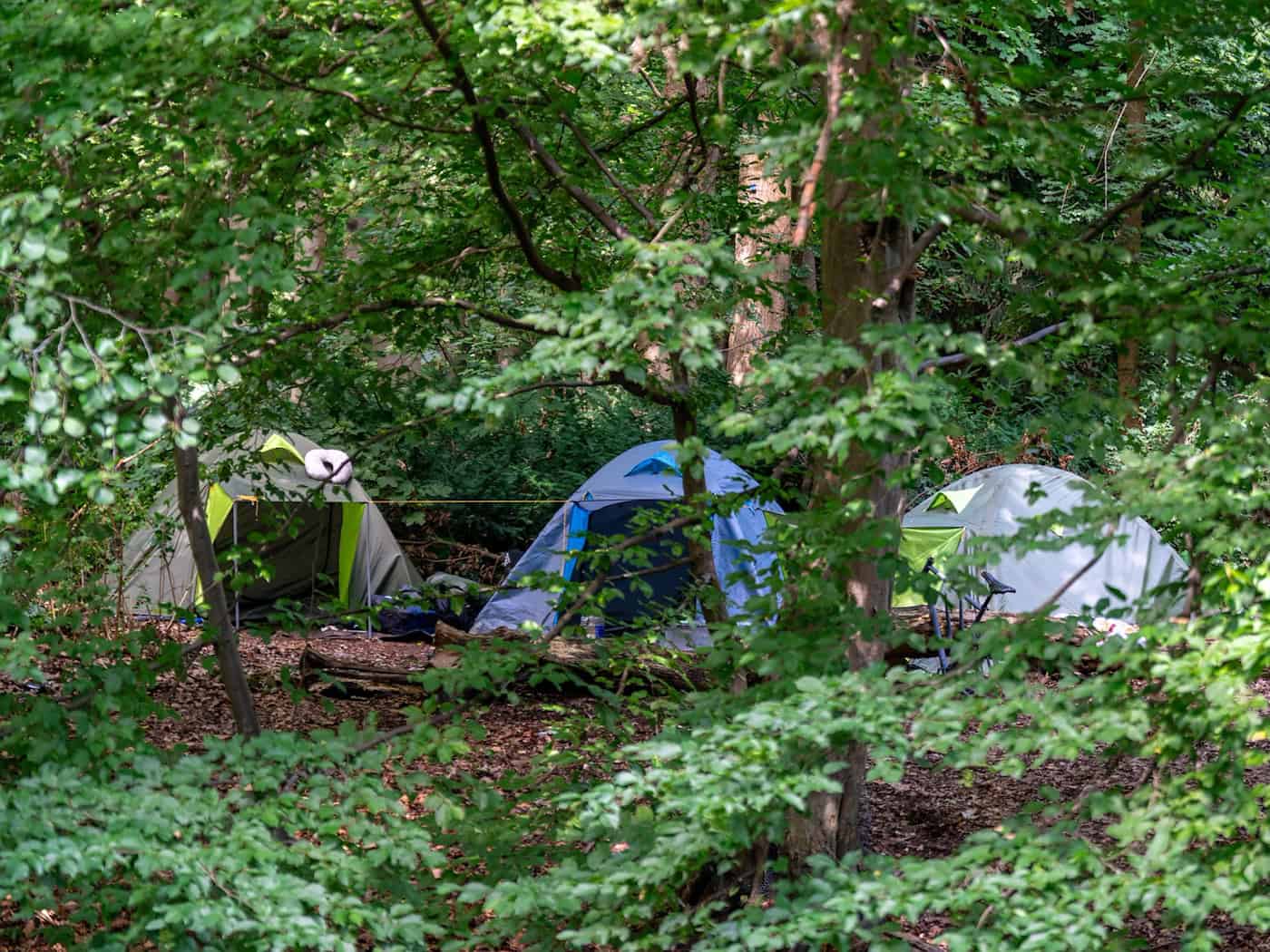 Etliche Obdachlosencamps in Berlin seit 2025 geräumt