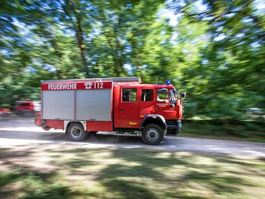 Experte: Müssen Waldbrandschutz an Wohngebieten stärken