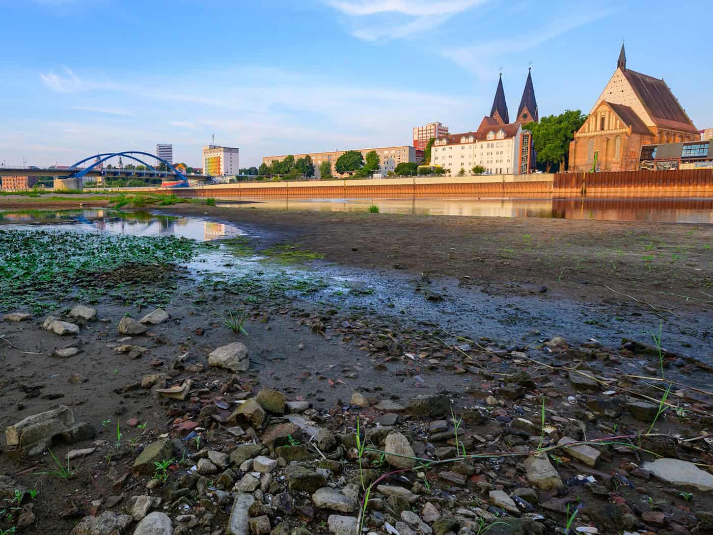 Niedrigwasser und Hitze belasten Flüsse in Berlin und Brandenburg – Sauerstoffmangel gefährdet Fische