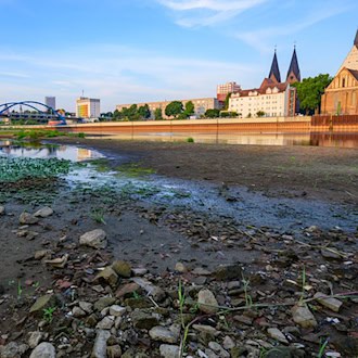 Niedrigwasser und Hitze belasten Flüsse in Berlin und Brandenburg – Sauerstoffmangel gefährdet Fische