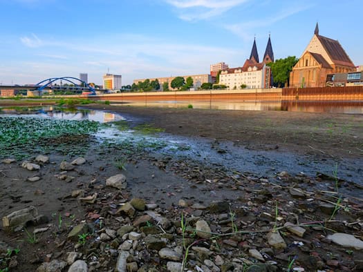 Niedrigwasser und Hitze belasten Flüsse in Berlin und Brandenburg – Sauerstoffmangel gefährdet Fische
