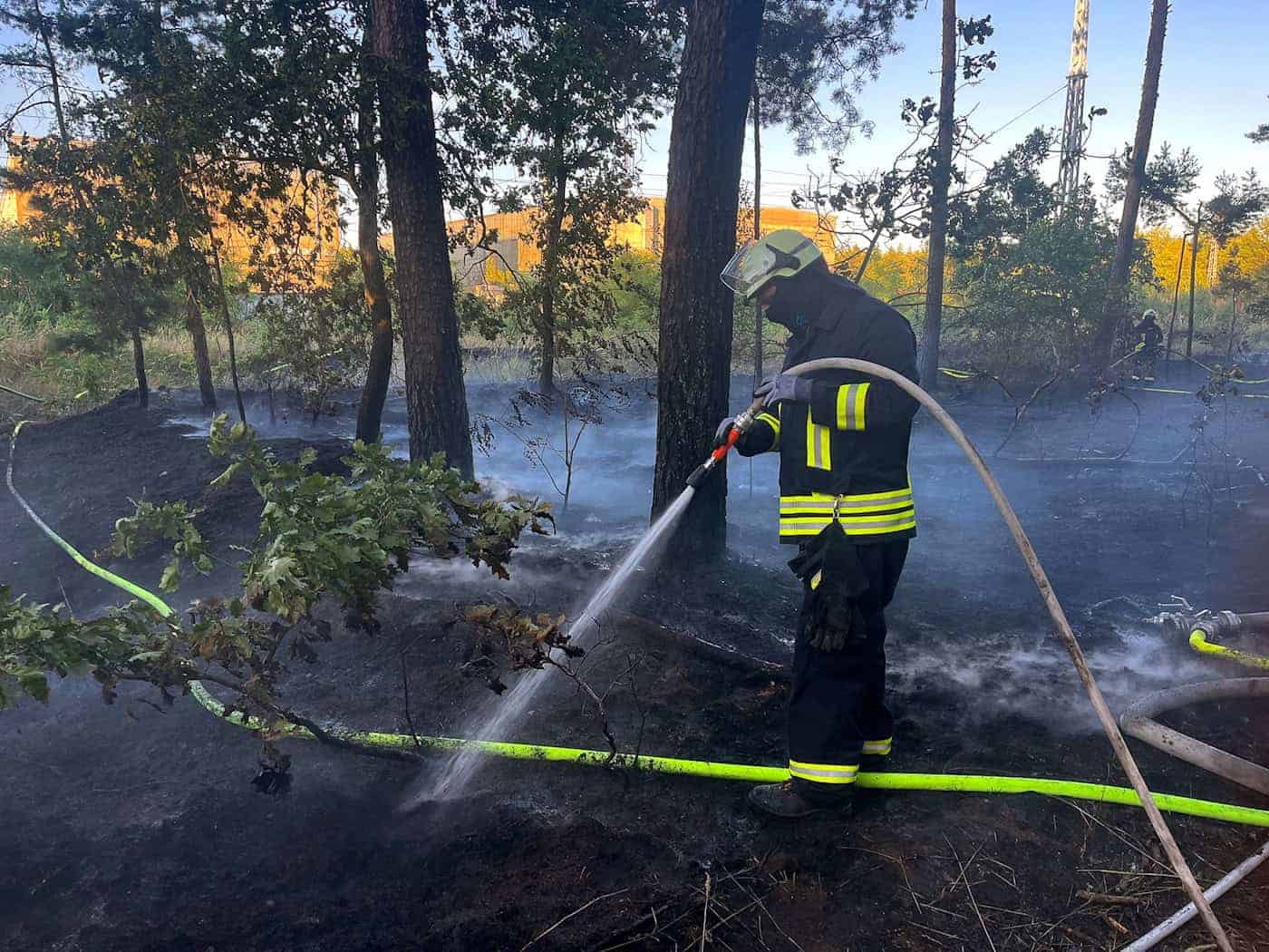 Feuerwehr im Einsatz - Waldbrandgefahr verschärft sich