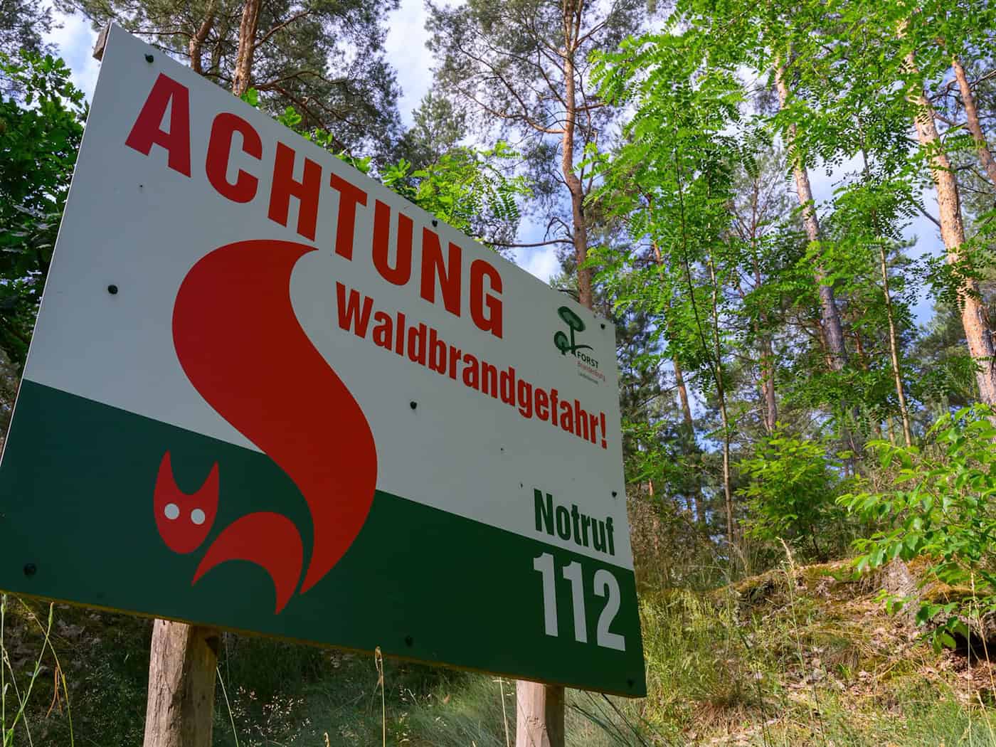 Gefahr von Waldbränden etwas gesunken