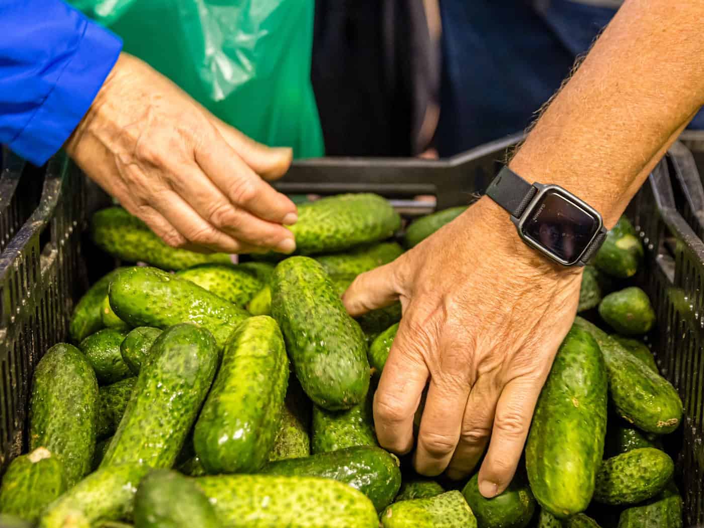 Gurkentag in Heideblick: Regionalmarkt, Bühnenprogramm und Spreewaldgurken