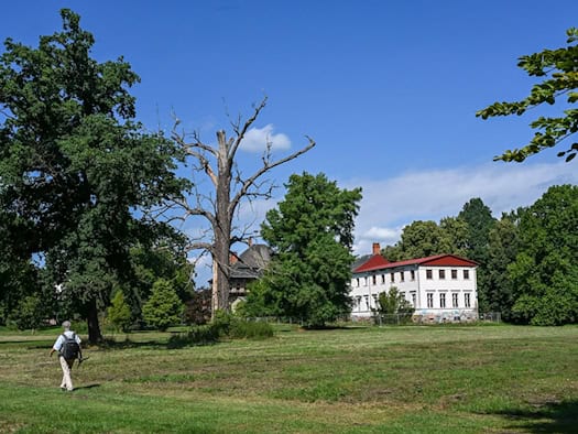 Brandenburgs historische Gärten vor Klimawandel – Maßnahmen geplant