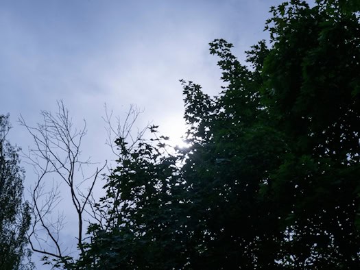 Neue Woche mit sonnigen Aussichten