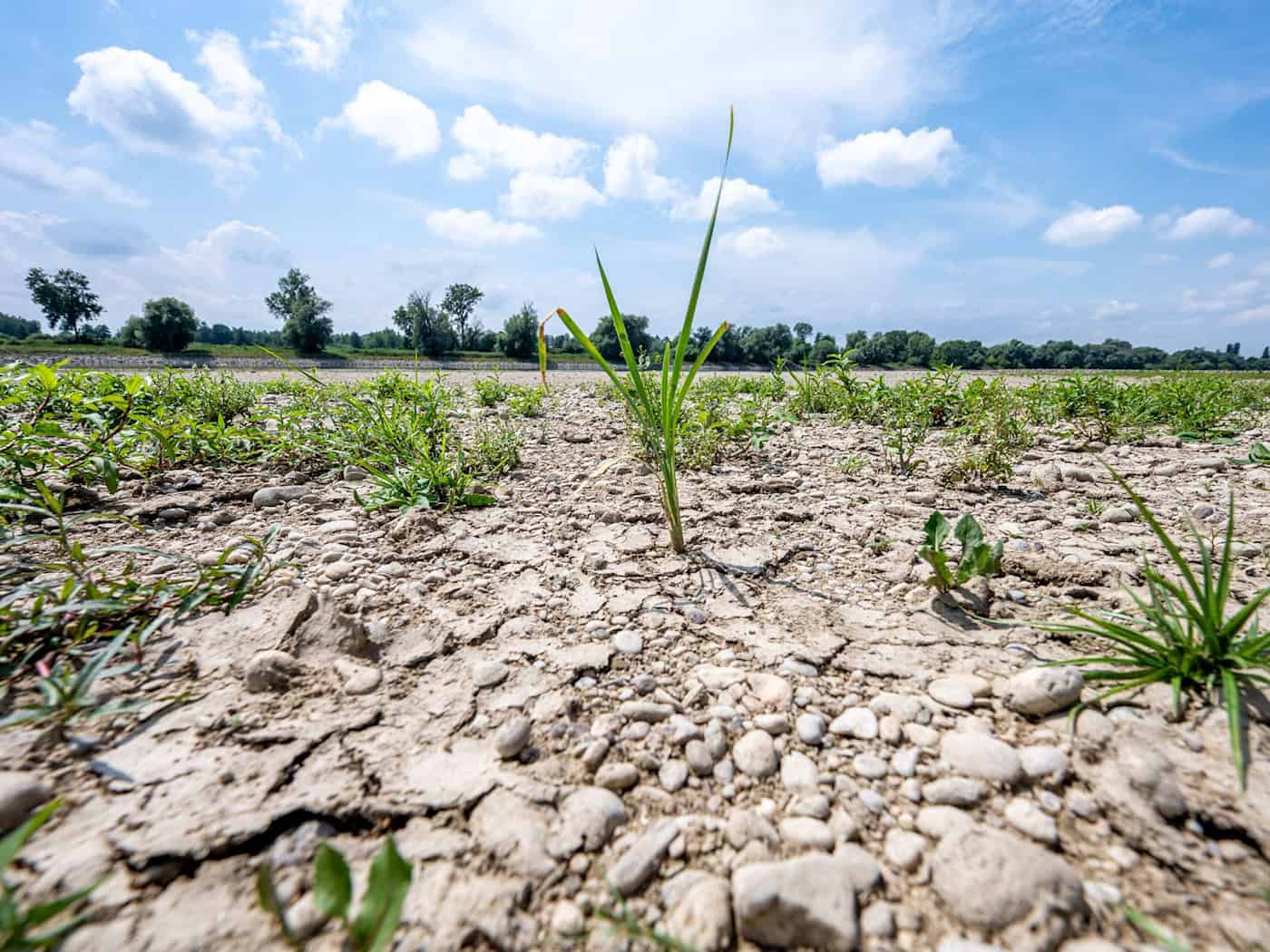 Niedrigwasser in Brandenburg: Spree gefährdet Wasserversorgung in Berlin, Brandenburg und Sachsen