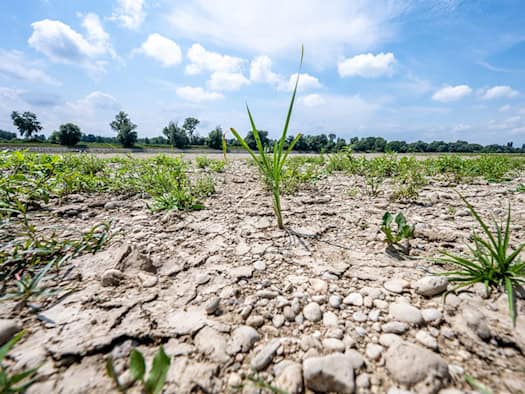 Niedrigwasser in Brandenburg: Spree gefährdet Wasserversorgung in Berlin, Brandenburg und Sachsen