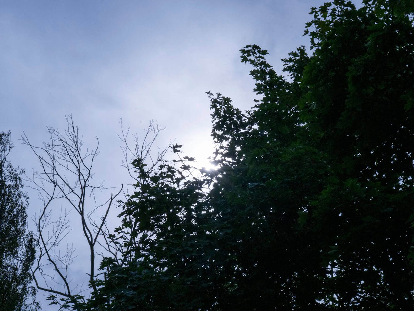 Sonnige Tage für Berlin und Brandenburg